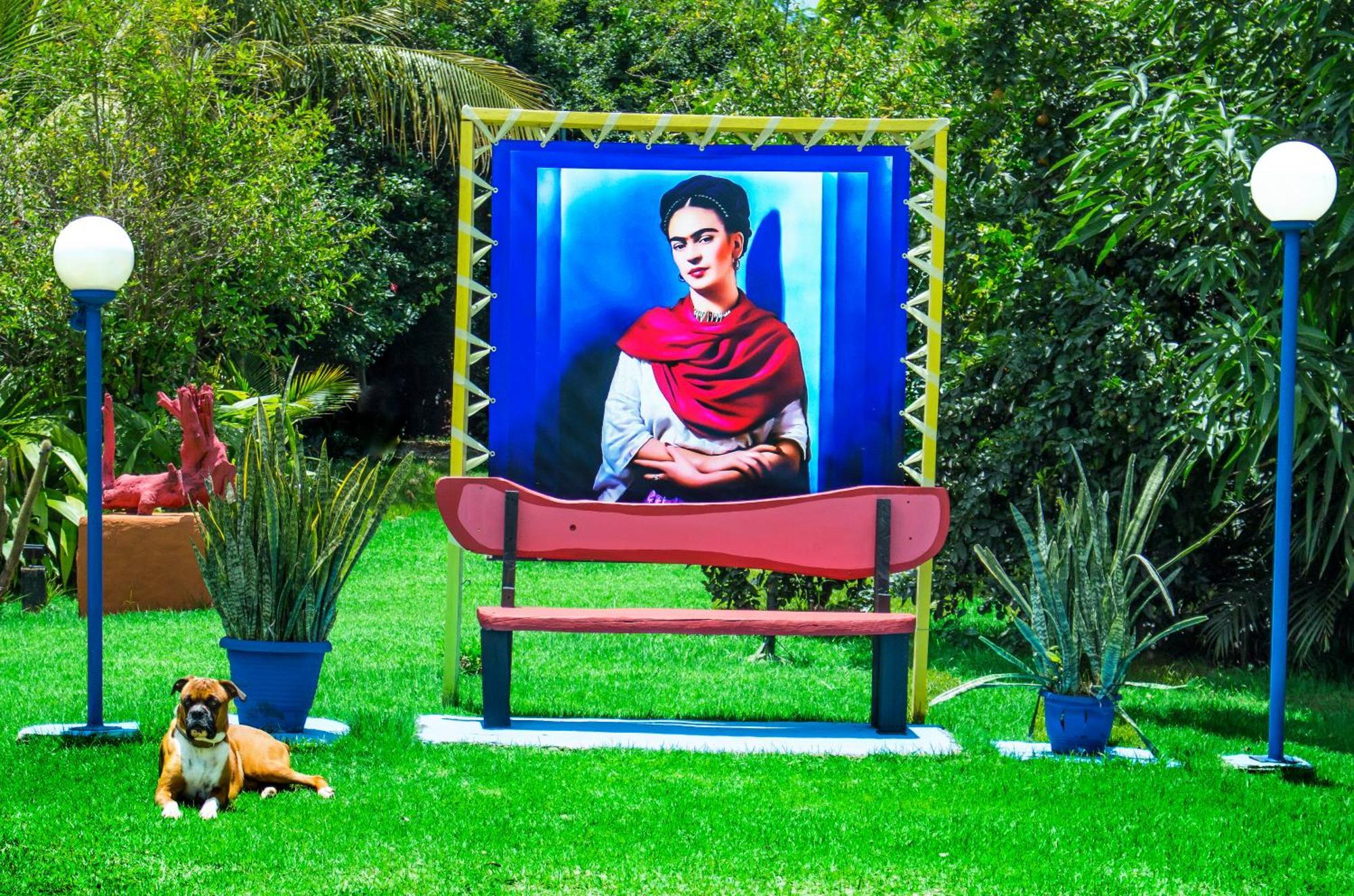 Casa De Frida Pousada Galeria Pirenópolis Dış mekan fotoğraf